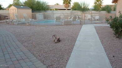 backyard 1