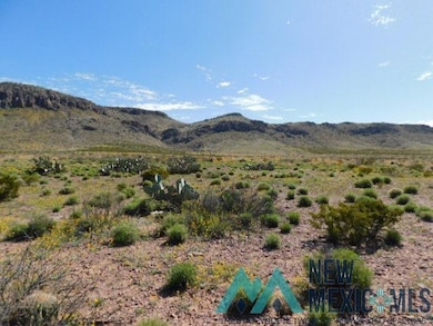 0 San Mateo Rd unit 20231657, Deming, NM 88030 - photo 6