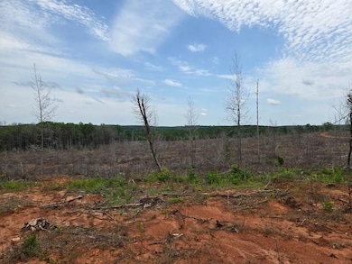 0 Booger Hollow Rd unit 23734488, Dadeville, AL 36853 - photo 4