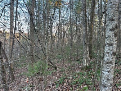 Lot 12 Tombstone Dr, Blairsville, GA 30512 - photo 5