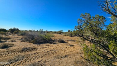 2b S Cattle Crossing Rd, Yucca, AZ 86438 - photo 6