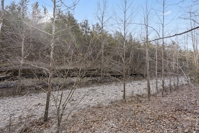 142/143 Country Ridge Way, Branson, MO 65616 - photo 7