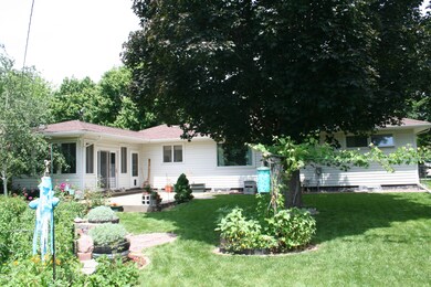 Back view