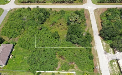 4117 17th St SW, Lehigh Acres, FL 33976 - photo 6