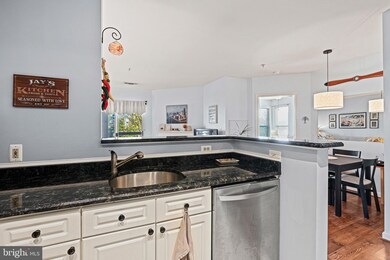 2204 Westcourt Ln unit 316, Herndon, VA 20170 - photo 5