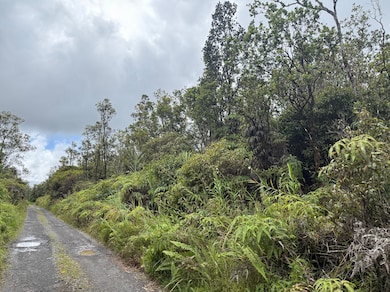 0 Apuakehau Rd unit 725837, Volcano, HI 96785 - photo 6
