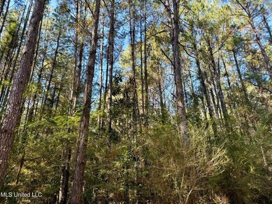 1088 Freeman Rd, Magnolia, MS 39652 - photo 4