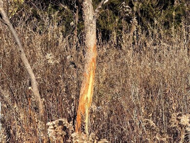 TBD Hwy Dd Hwy, Gallatin, MO 64640 - photo 5