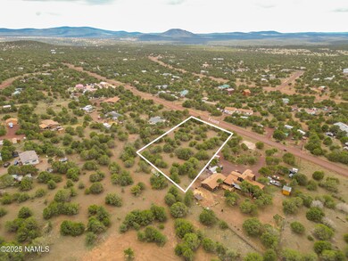 7365 N Hopi St, Red Lake, AZ 86046 - photo 6