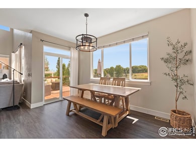 2289 Stonefish Dr, Windsor, CO 80550 - photo 7