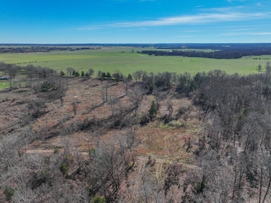 000 SE 1151, Dallas Township, MO 64738 - photo 4