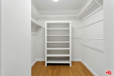 Primary Closet