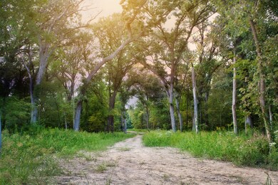 4351 Willard Ln, Lowell, IN 46356 - photo 5