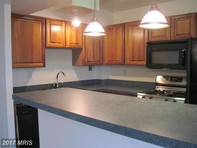 2636 Wagon Dr, Alexandria, VA 22303 - photo 4