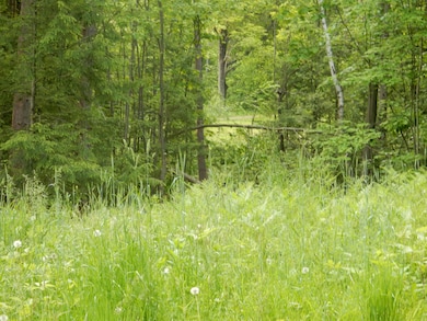 00 Pine St, Newport, VT 05855 - photo 6