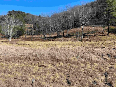 TBD Pilot Rd, Christiansburg, VA 24073 - photo 2