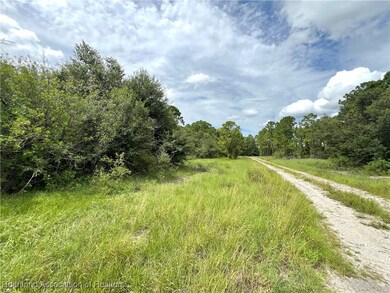 600 Lynn Ct, Lake Placid, FL 33852 - photo 6