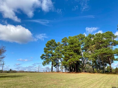 5706 Farm To Market Road 69, Quitman, TX 75783 - photo 7
