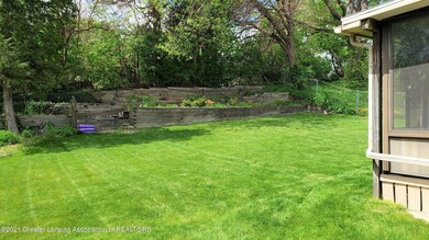 Back Yard 1