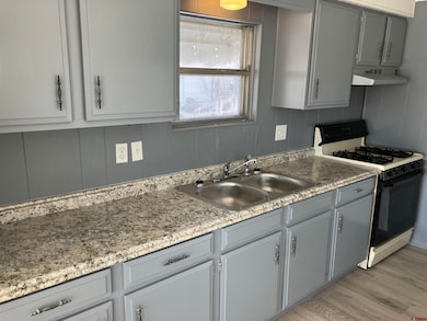 220 NW Elm Ave, Cedaredge, CO 81413 - photo 4