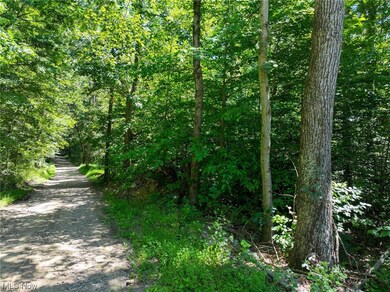 0 Co Road 3364 unit 4486126, Loudonville, OH 44842 - photo 6