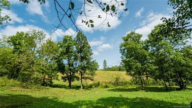 000 Turkey Creek Rd, Leicester, NC 28748 - photo 7