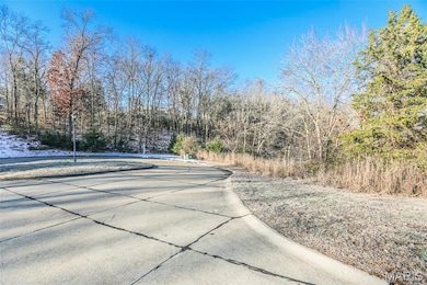 3 & 5 Broken Arrow Ct, Byrnes Mill, MO 63025 - photo 3