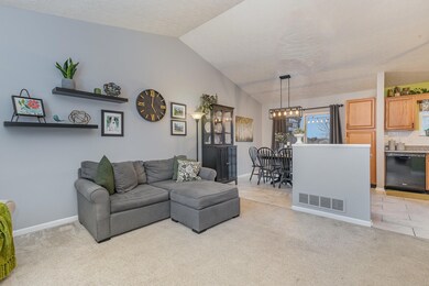 006_2479_apollo_ct15-edit