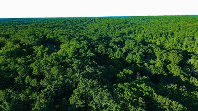 Tbd Sandy Rd, Cross Timbers Township, MO 65326 - photo 7