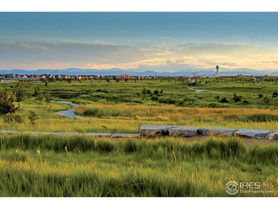 11258 E 25th Dr, Aurora, CO 80010 - photo 5