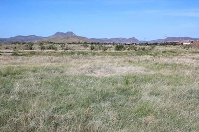 Tract 85 Sierra La Rana, Alpine, TX 79830 - photo 3