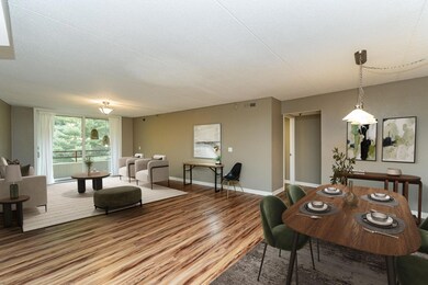 625 19th St NW unit 603, Rochester, MN 55901 - photo 6