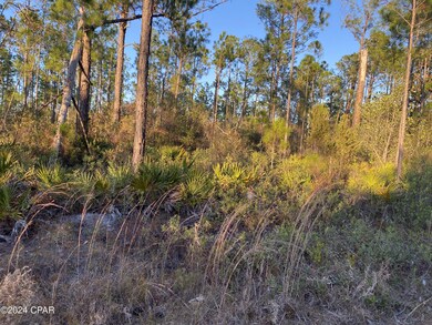 0 Barnes Rd unit 751317, Fountain, FL 32438 - photo 4