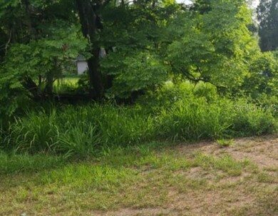 0 S Pine Ave, Fort Meade, FL 33841 - photo 3