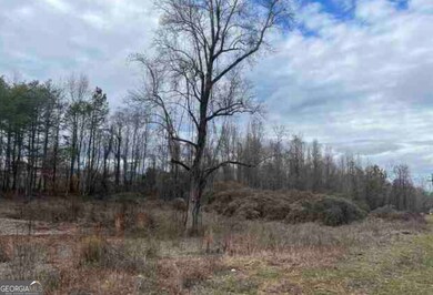 0 Asbestos Rd unit 10644874, Cleveland, GA 30528 - photo 2