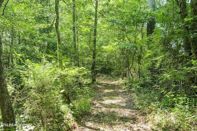 Trail beside creek