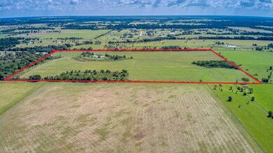 33753 Betka Rd, Waller, TX 77484 - photo 6