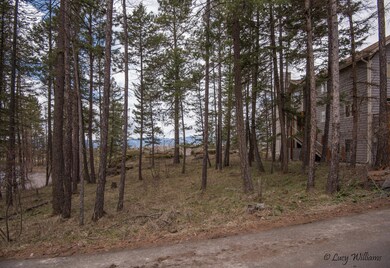 283 Eagle Bend Dr, Big Fork, MT 59911 - photo 4