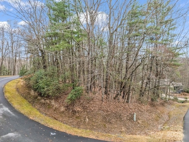 TBD Ossarooga Ct unit Lot 29/Unit 6, Brevard, NC 28712 - photo 2