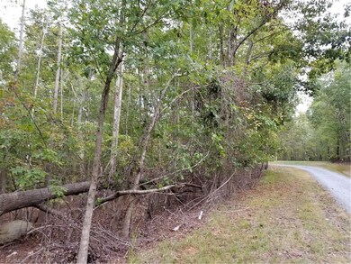 0 Black Mountain Rd unit 954009, Asheboro, NC 27205 - photo 3