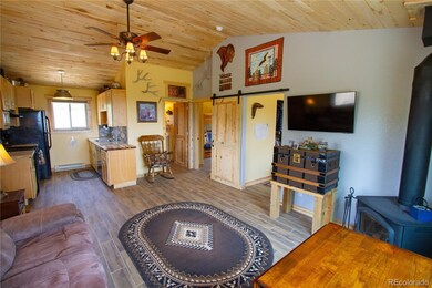 4134 Buffalo Ridge Rd, Como, CO 80432 - photo 3