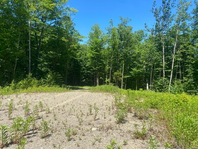 Lot WA-9 Smith Cove Rd, East Central Washington, ME 04657 - photo 6