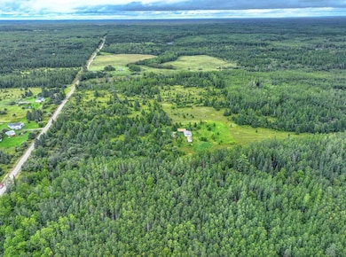 XXXX W Riek Rd, Cook, MN 55723 - photo 6