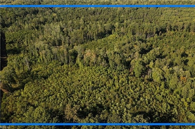 25 ac Chris Run, Louisa, VA 23093 - photo 2