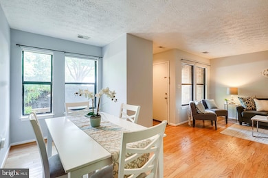 7607 Weather Worn Way unit B, Columbia, MD 21046 - photo 5