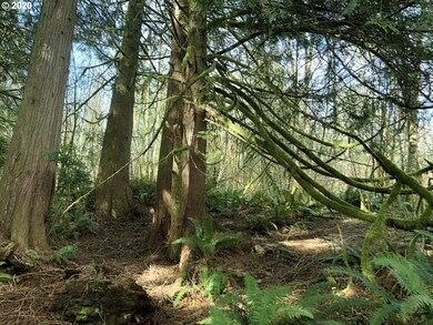 7421 N Fork Rd, Florence, OR 97439 - photo 5