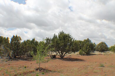 Parcel C Bourdon Ranch Rd, Show Low, AZ 85901 - photo 2