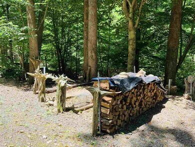 2910 Garth Run Rd, Madison, VA 22727 - photo 6