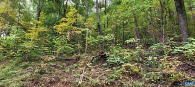 0 Barrow Ln unit 623164, Stanardsville, VA 22973 - photo 4