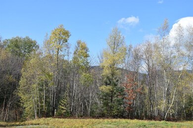 0 Paris Rd, Dummer, NH 03588 - photo 5